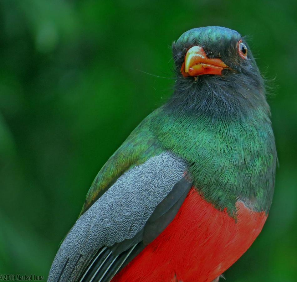 La Selva Biological Station Otel Sarapiquí Dış mekan fotoğraf