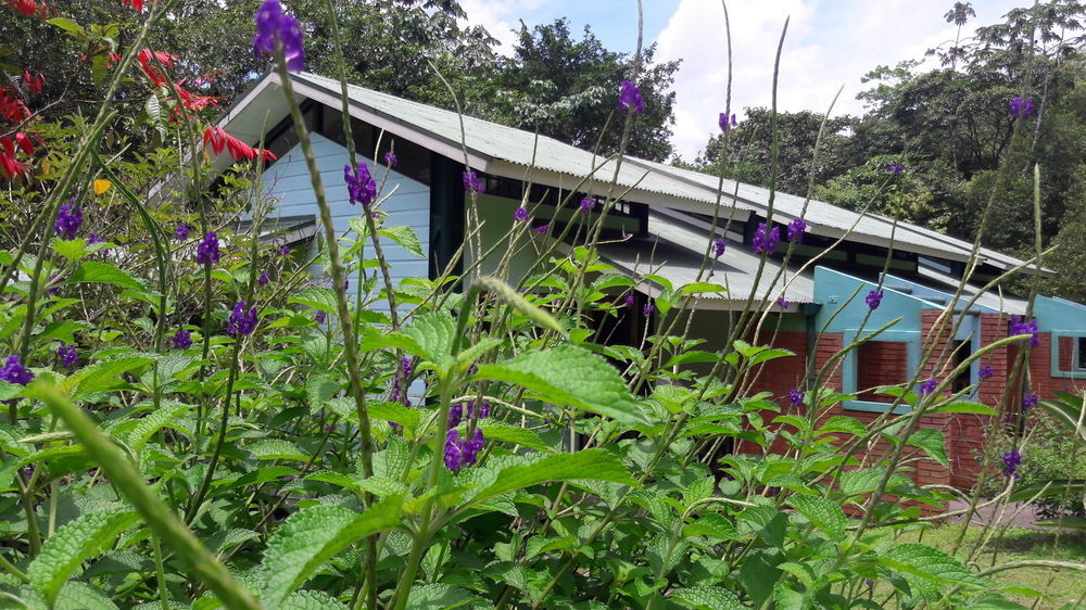 La Selva Biological Station Otel Sarapiquí Dış mekan fotoğraf