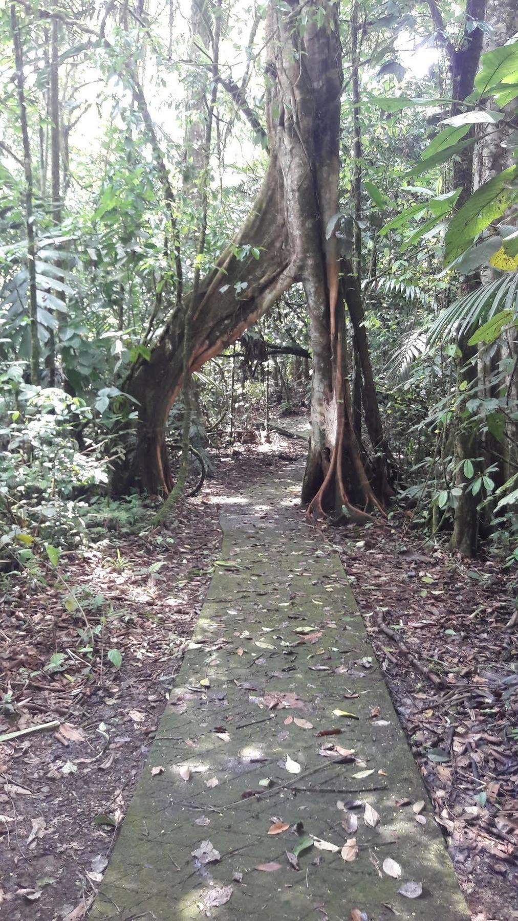 La Selva Biological Station Otel Sarapiquí Dış mekan fotoğraf