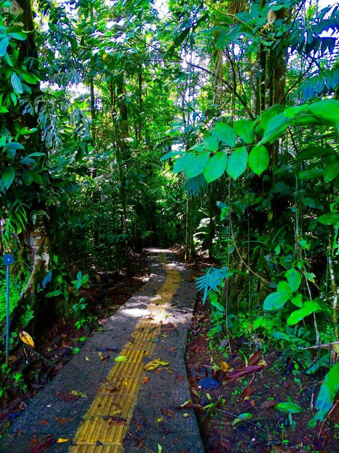 La Selva Biological Station Otel Sarapiquí Dış mekan fotoğraf