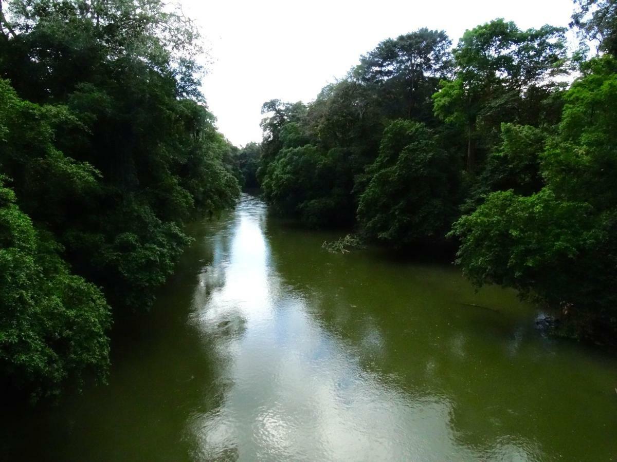 La Selva Biological Station Otel Sarapiquí Dış mekan fotoğraf