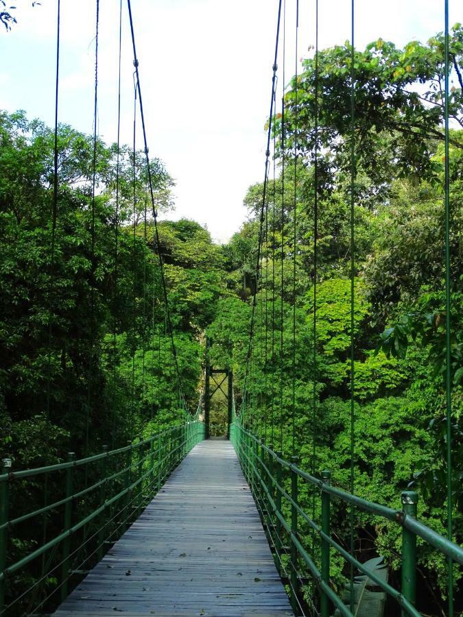 La Selva Biological Station Otel Sarapiquí Dış mekan fotoğraf