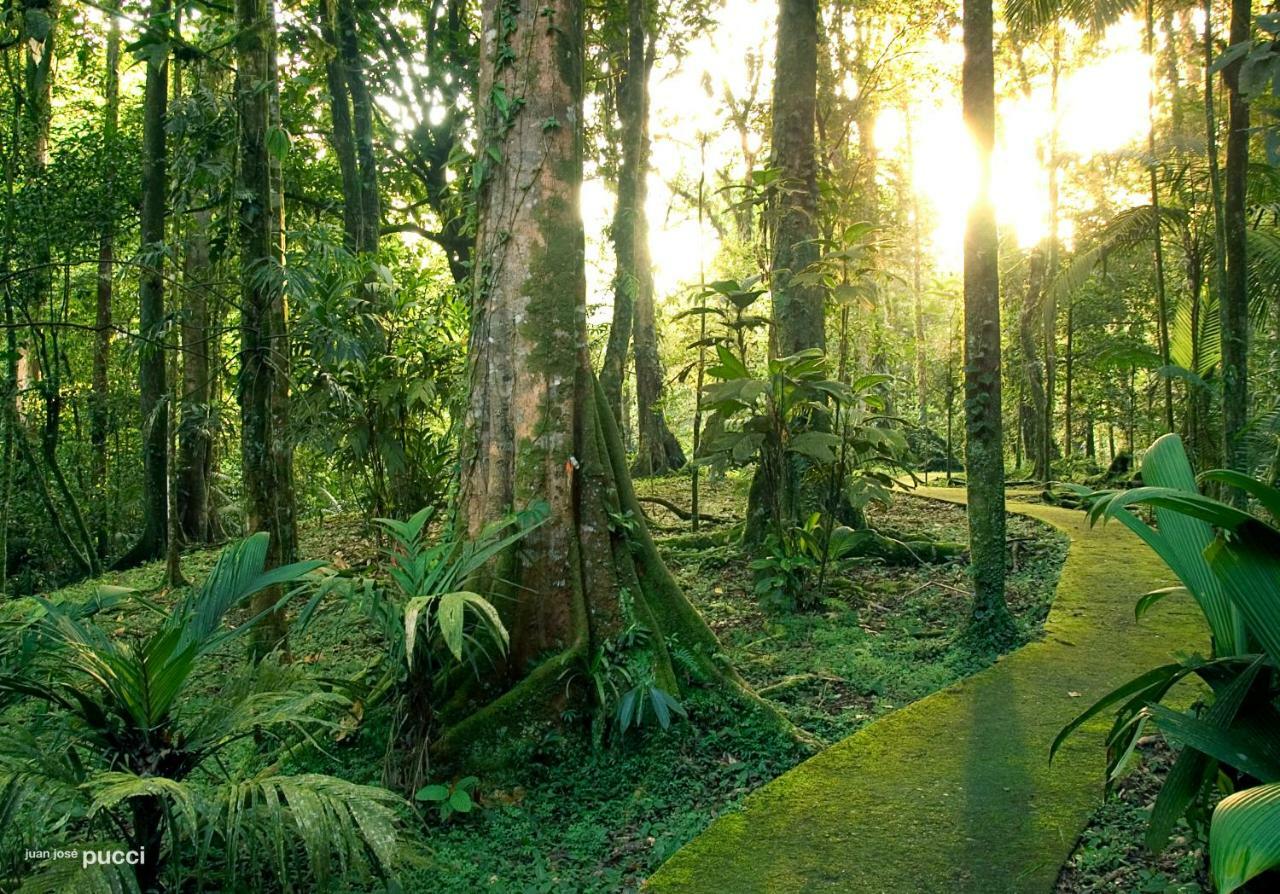 La Selva Biological Station Otel Sarapiquí Dış mekan fotoğraf